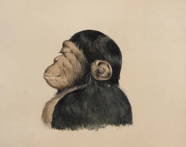 Ourang Otang av Felix Octavius Carr Darley