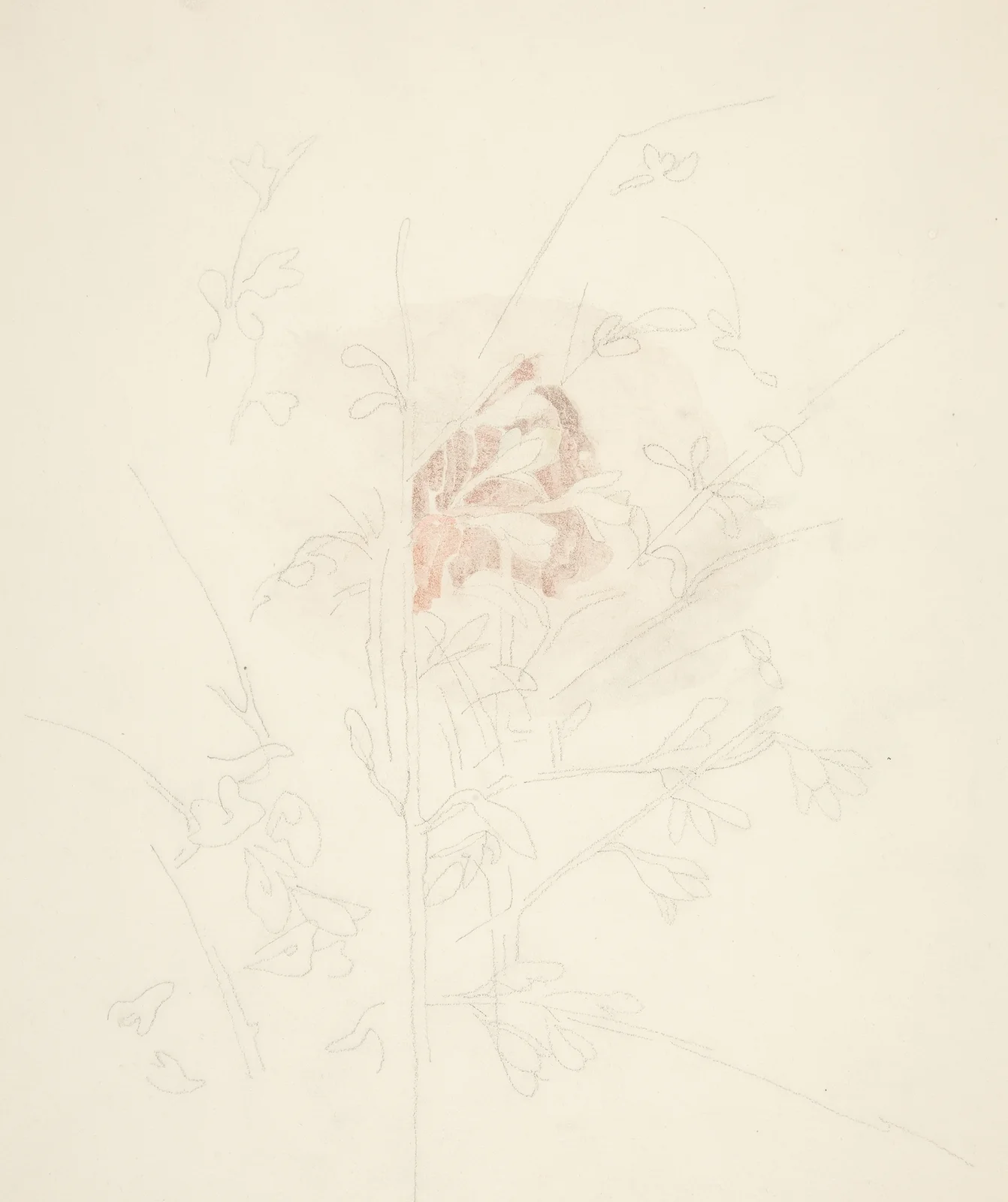 Flower av Charles Demuth