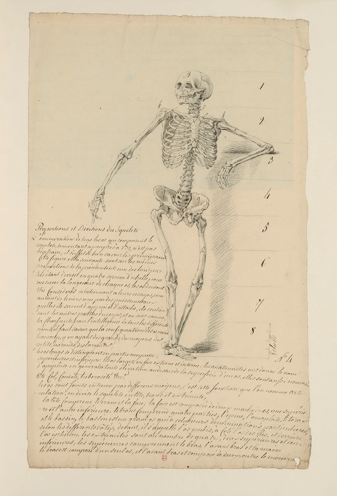 Cahiers d’Anatomie Pl.03 av Charles Monnet