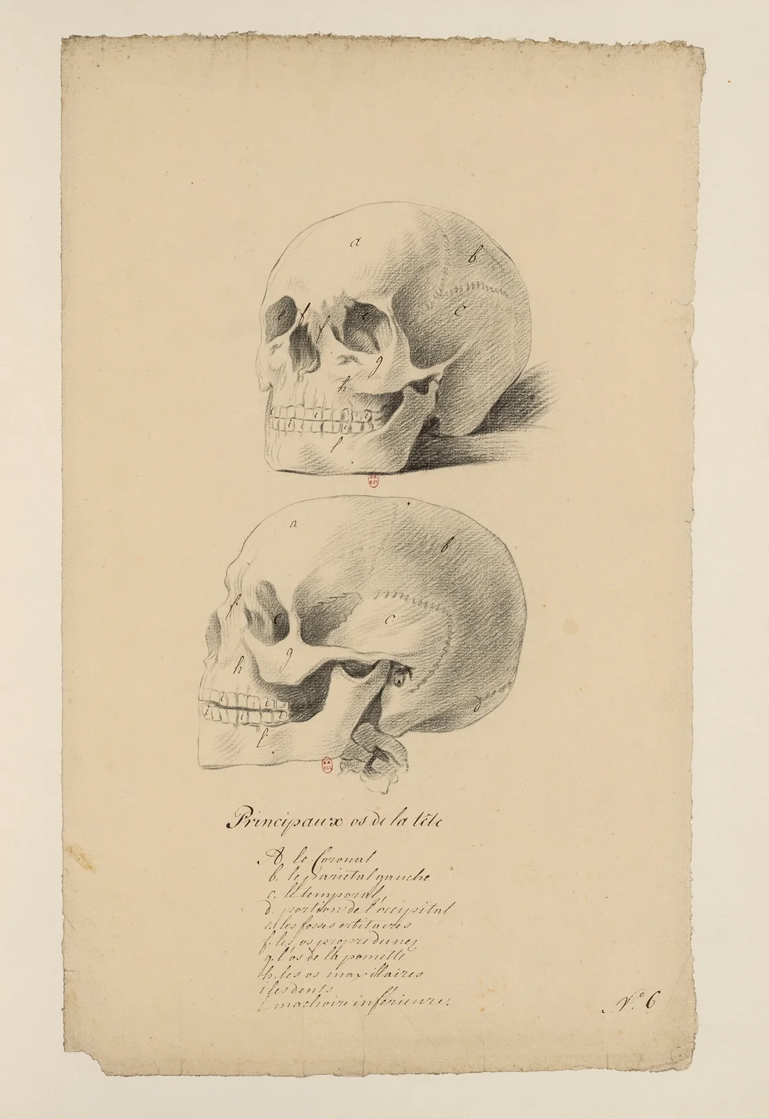Cahiers d’Anatomie Pl.05 av Charles Monnet