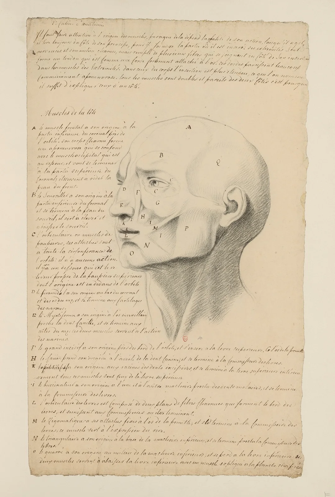 Cahiers d’Anatomie Pl.06 av Charles Monnet