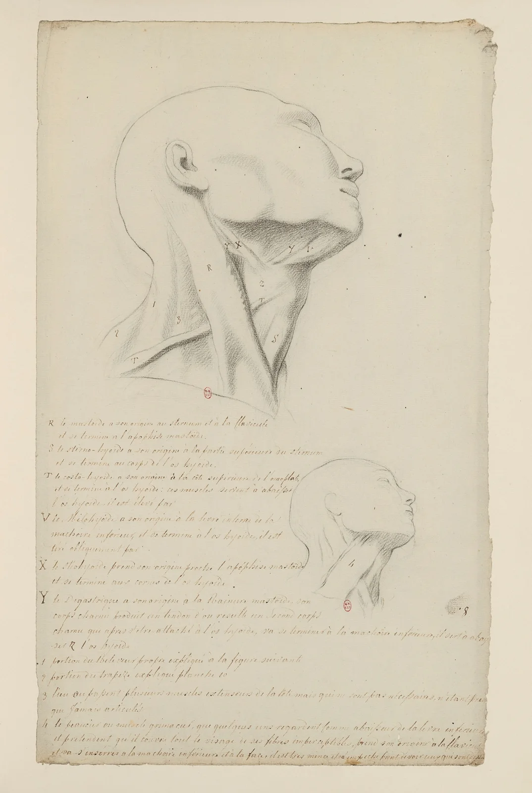 Cahiers d’Anatomie Pl.07 av Charles Monnet