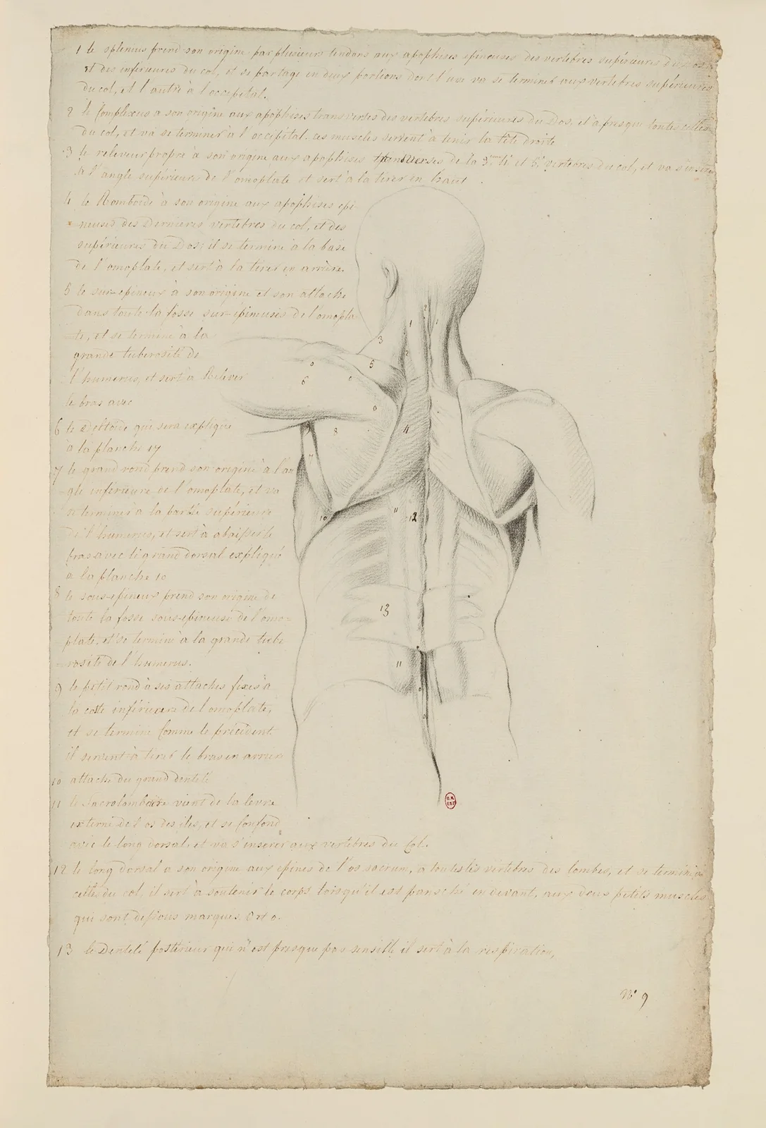 Cahiers d’Anatomie Pl.08 av Charles Monnet