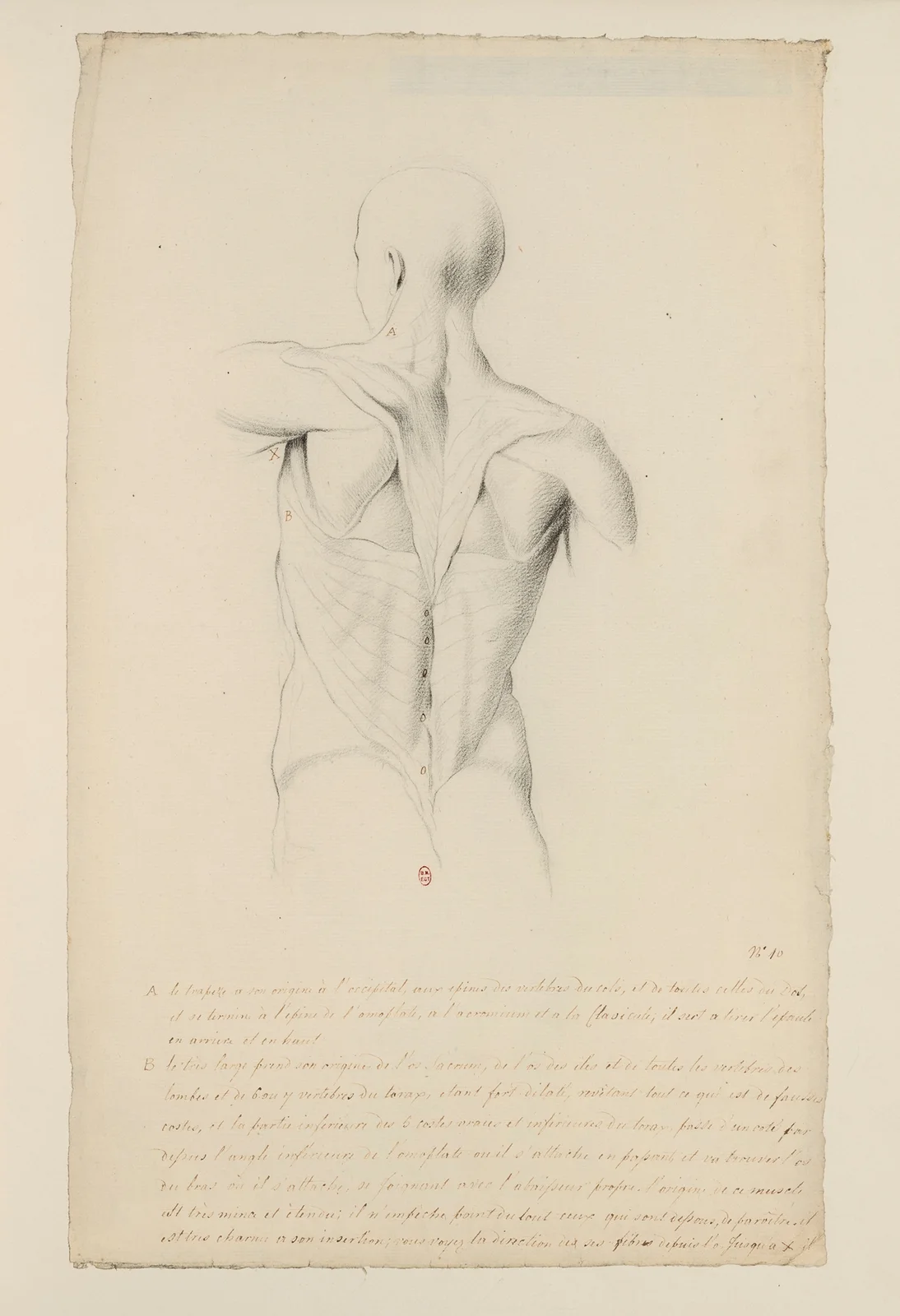 Cahiers d’Anatomie Pl.09 av Charles Monnet