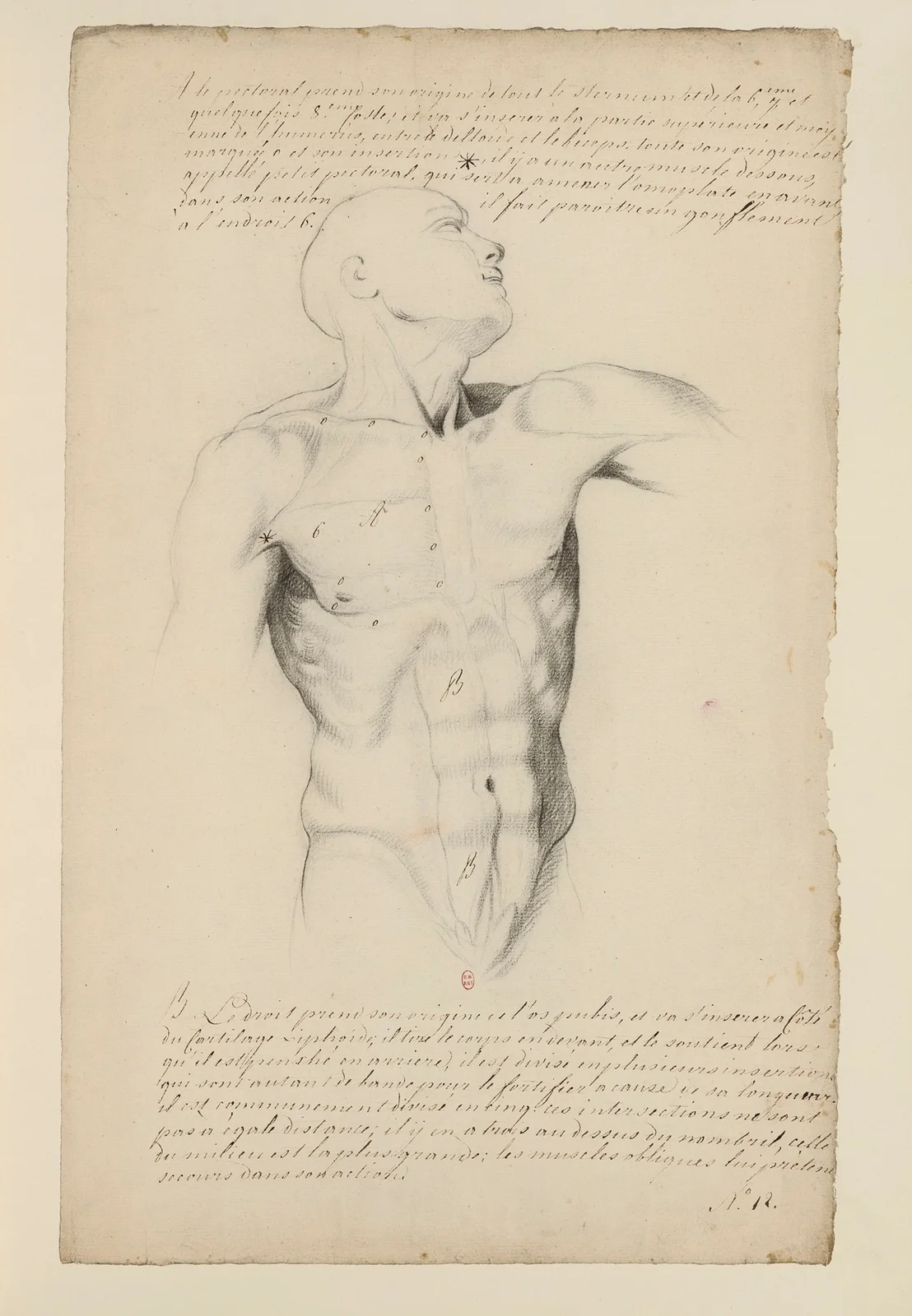 Cahiers d’Anatomie Pl.11 av Charles Monnet
