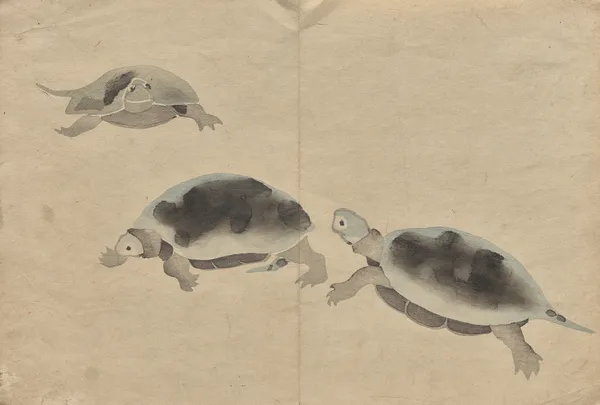 The Kōrin Picture Book Pl.16 av Hōchū Nakamura