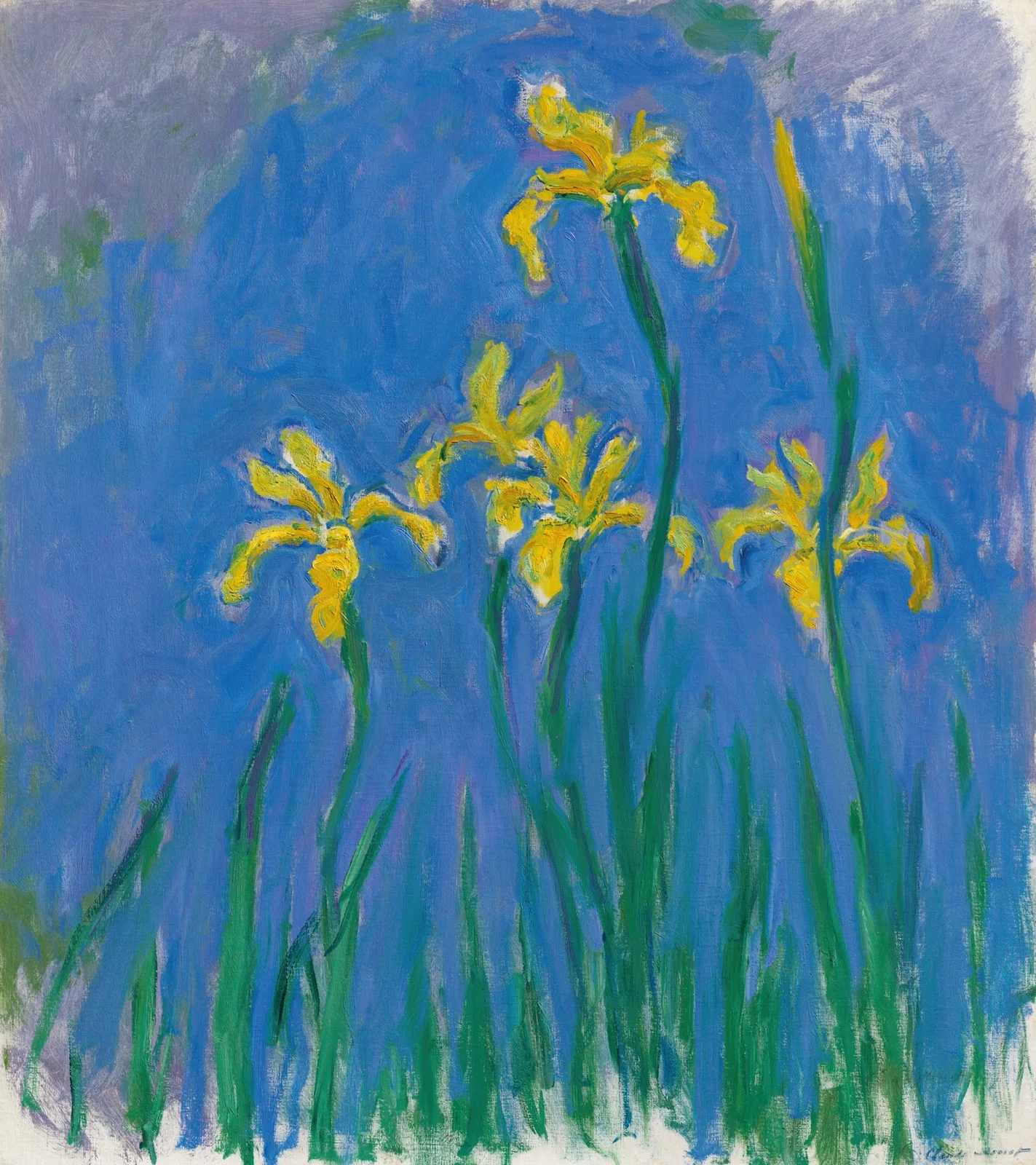 Iris av Claude Monet