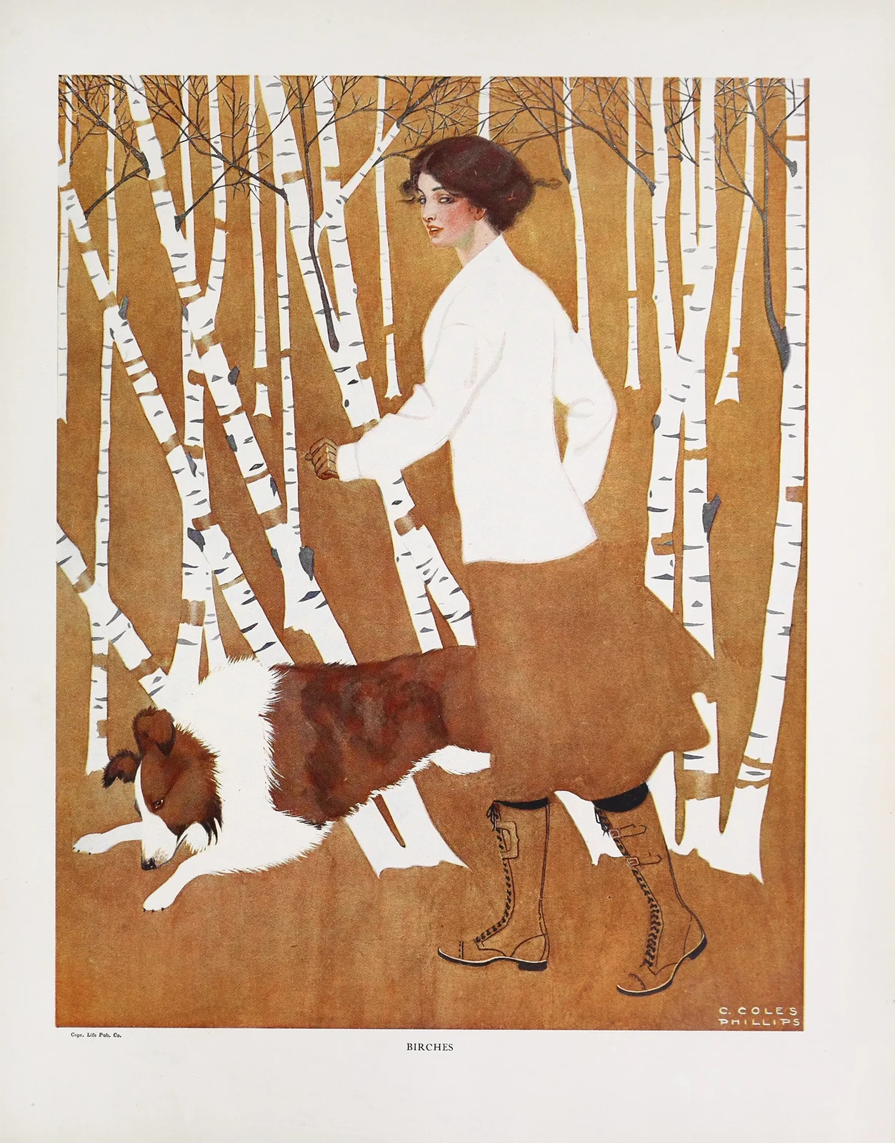 Birches av Coles Phillips