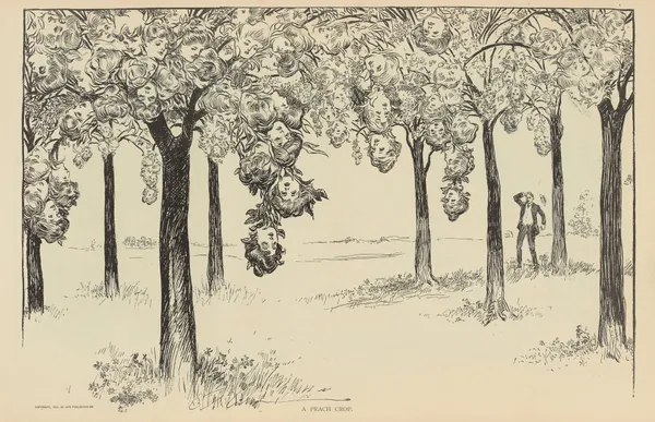 A peach crop av Charles Dana Gibson