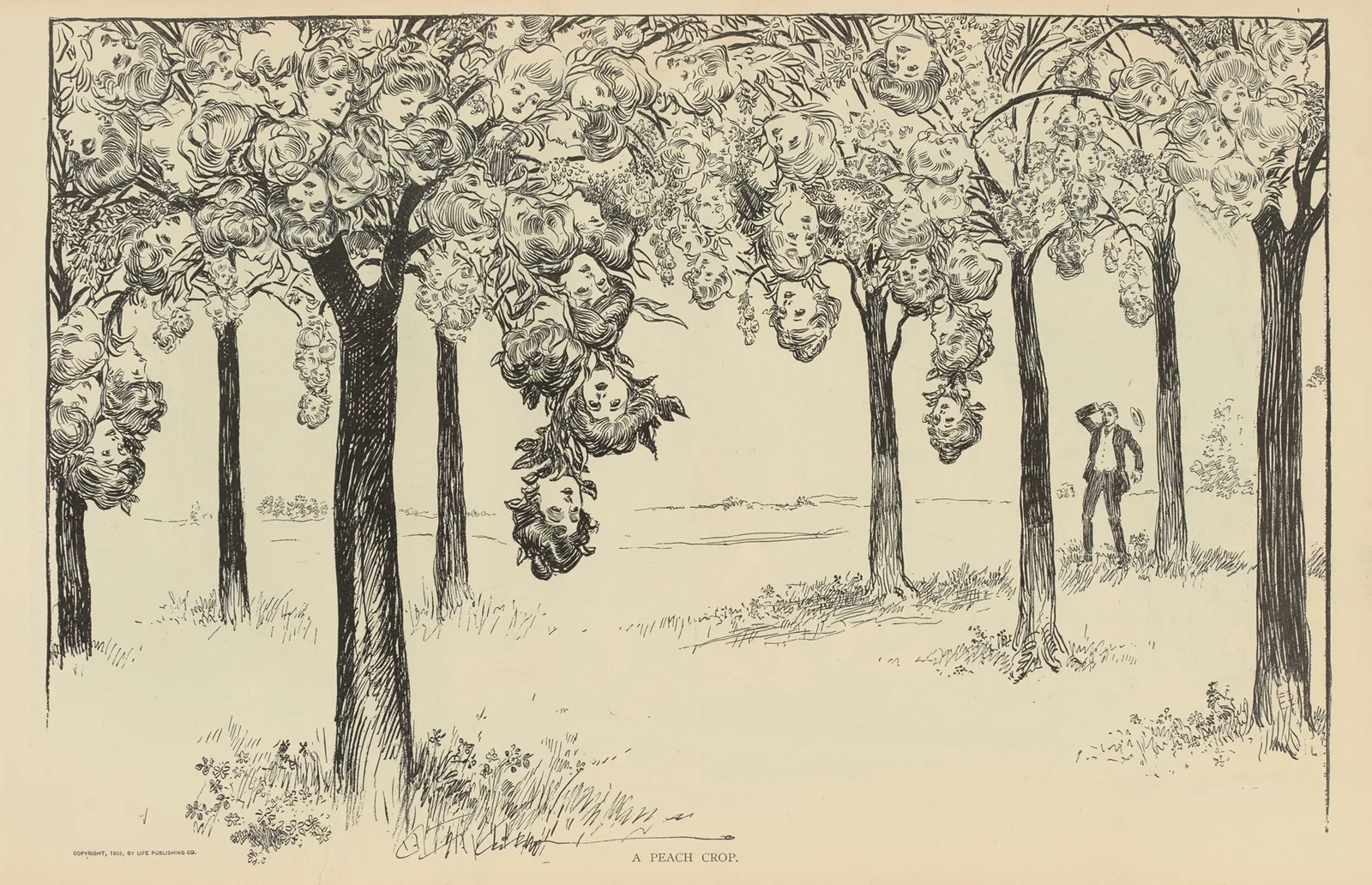 A peach crop av Charles Dana Gibson