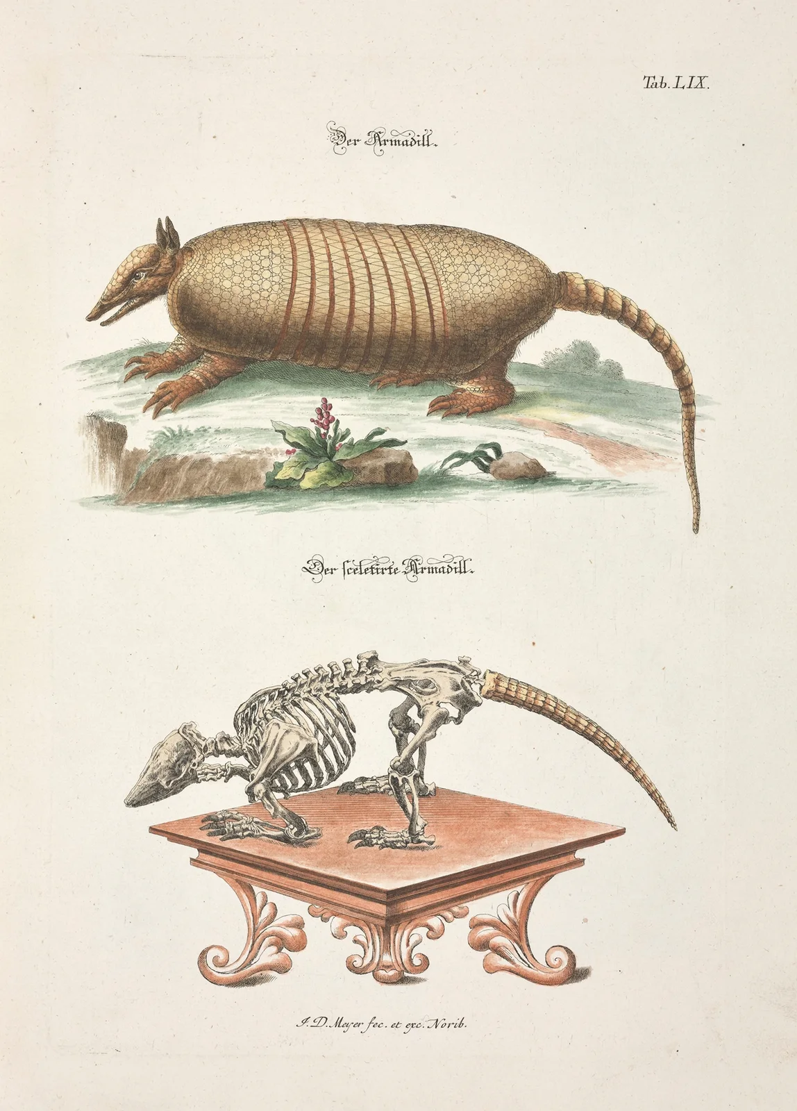 Angenehmer und nützlicher Zeit-Vertreib Pl.059 av Johann Daniel Meyer