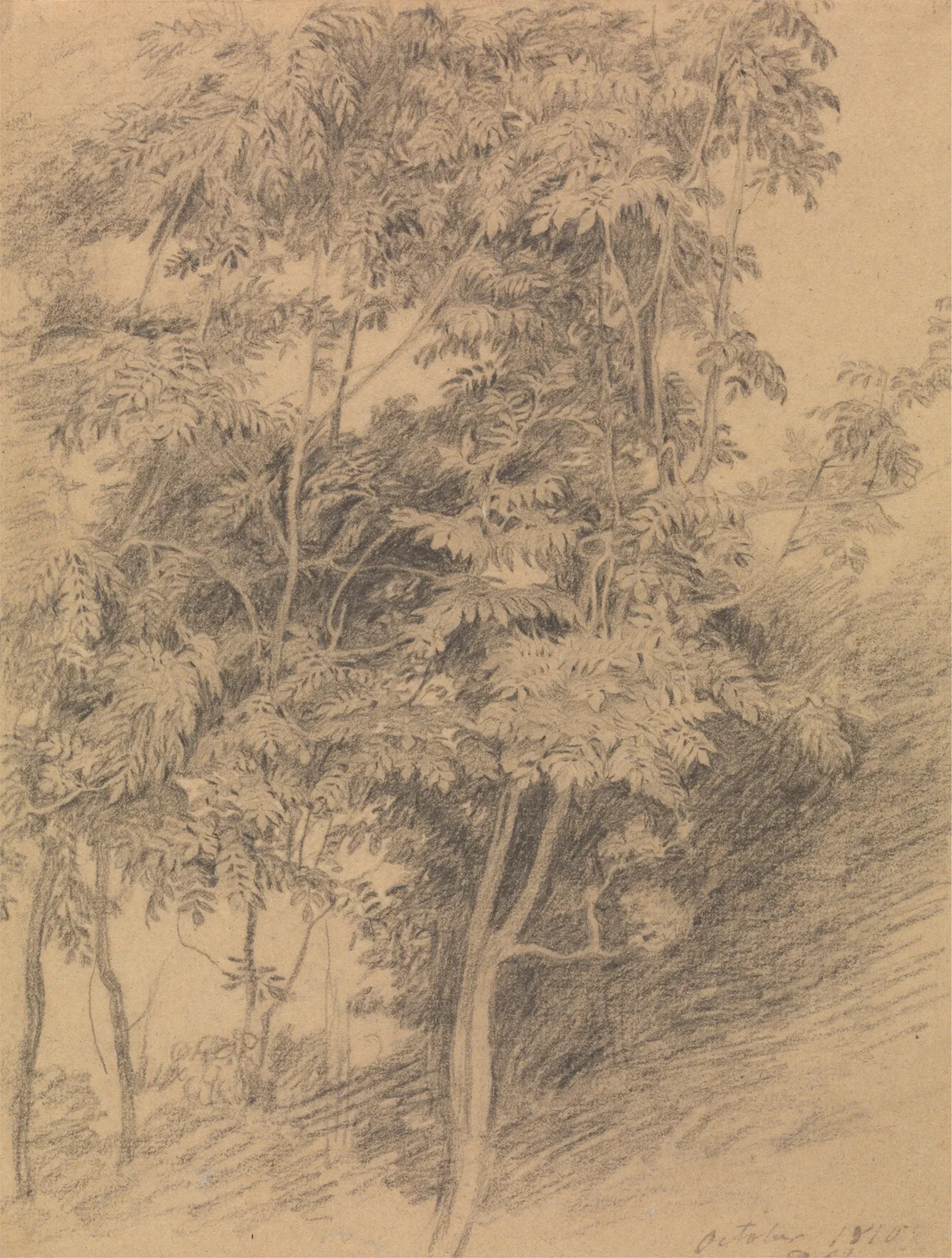Tree Study av Sir David Wilkie