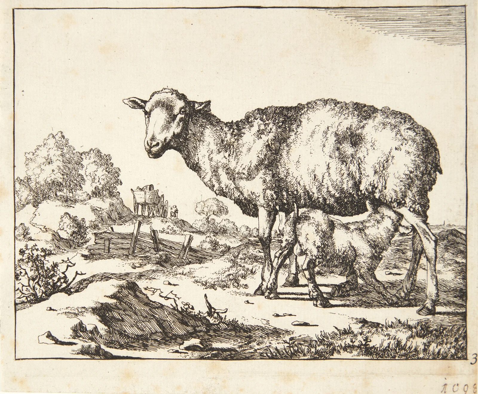 Gimmer og lam av Marcus de Bye