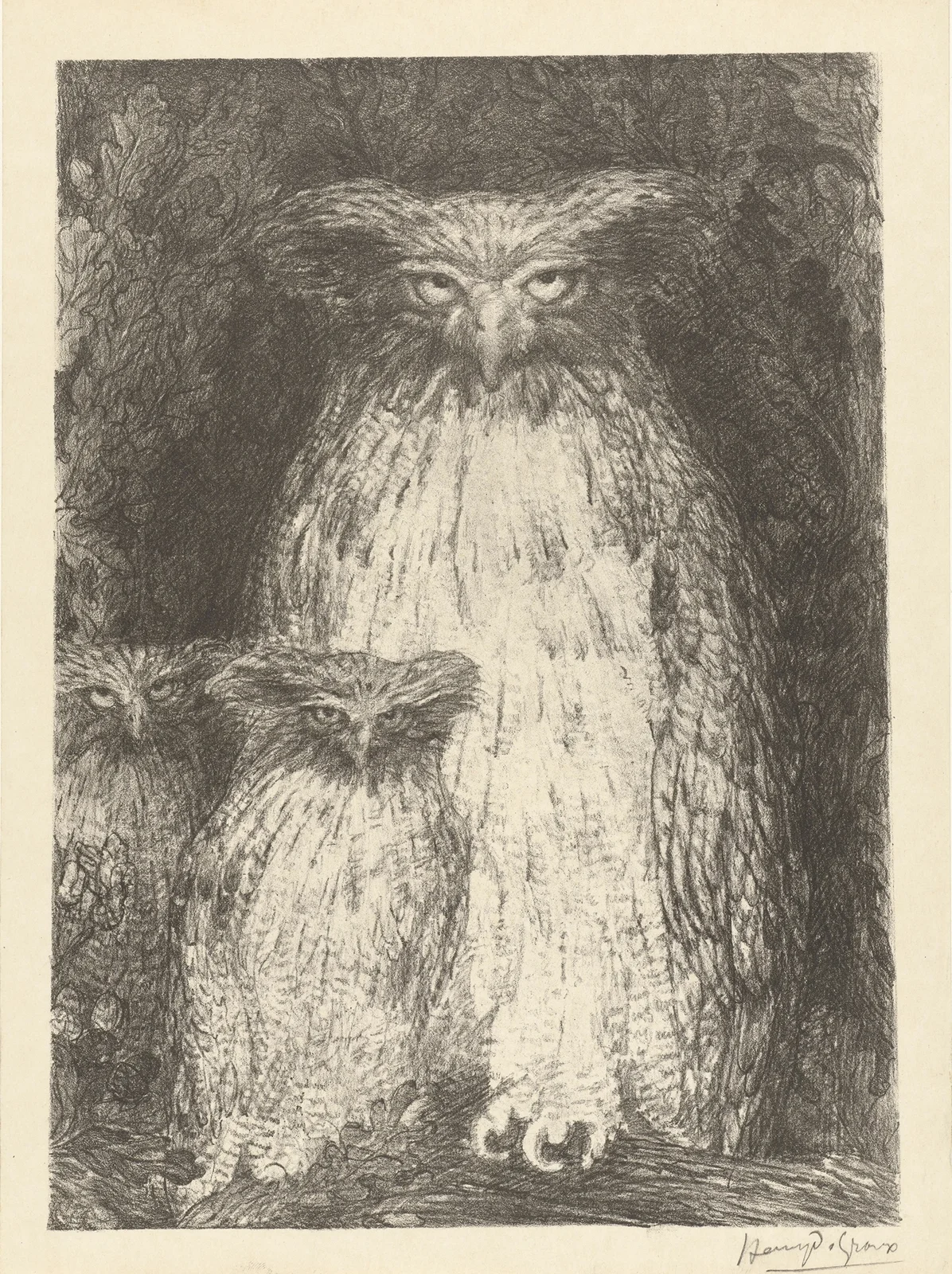 Étude de trois chouettes av Henry de Groux