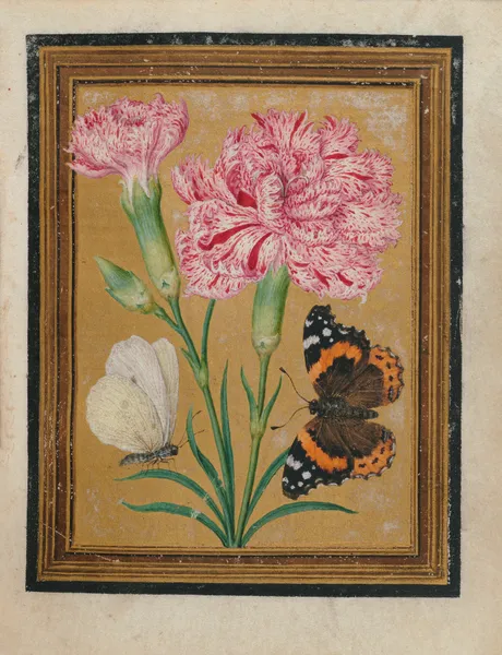 Paintings of Flowers, Butterflies, and Insects Pl.5 av Jacques Le Moyne de Morgues