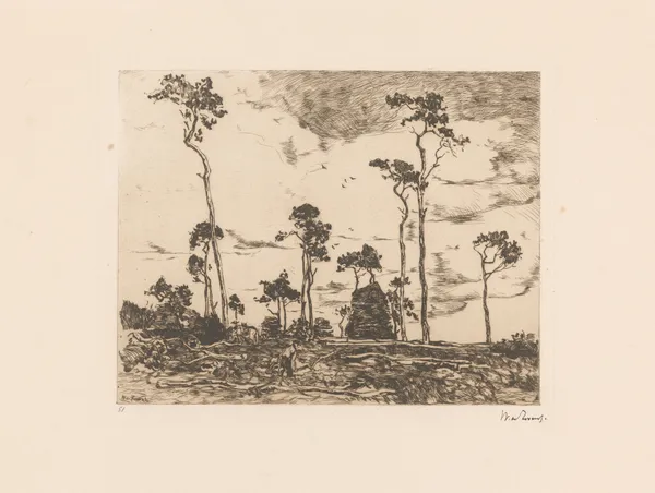 Hakhout laden, 1896 – nr 1 av Willem de Zwart