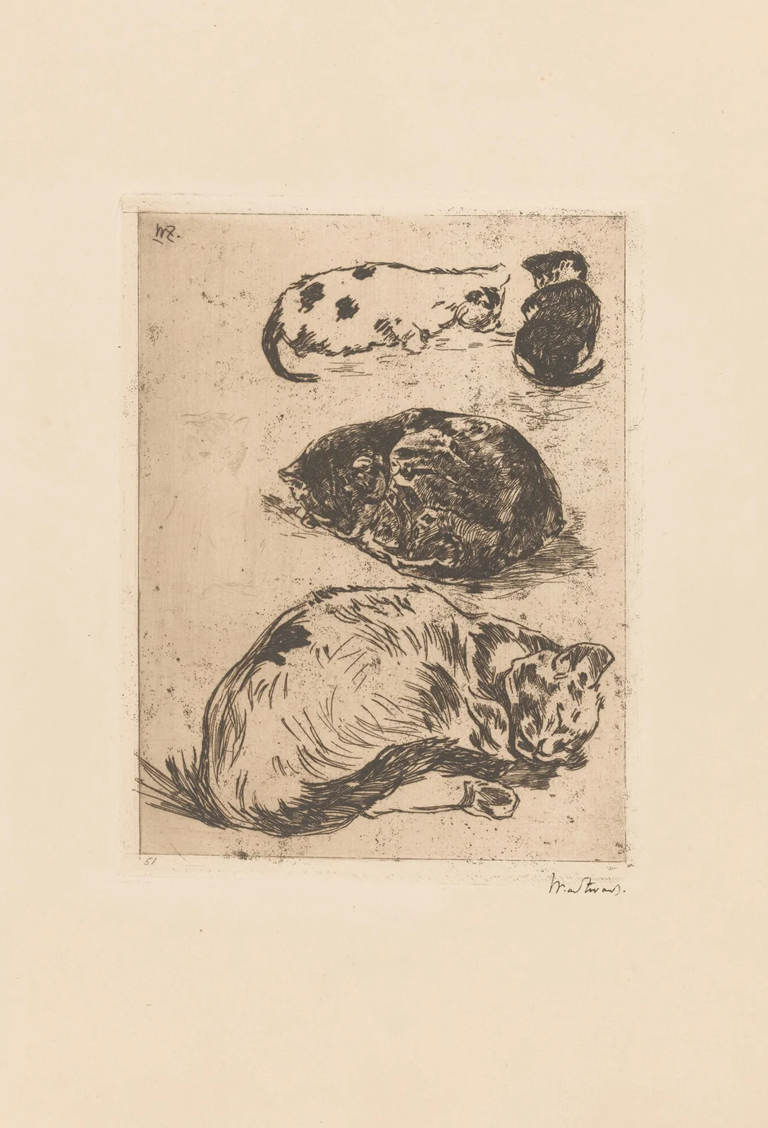 Studie van katten (20th century) av Willem de Zwart