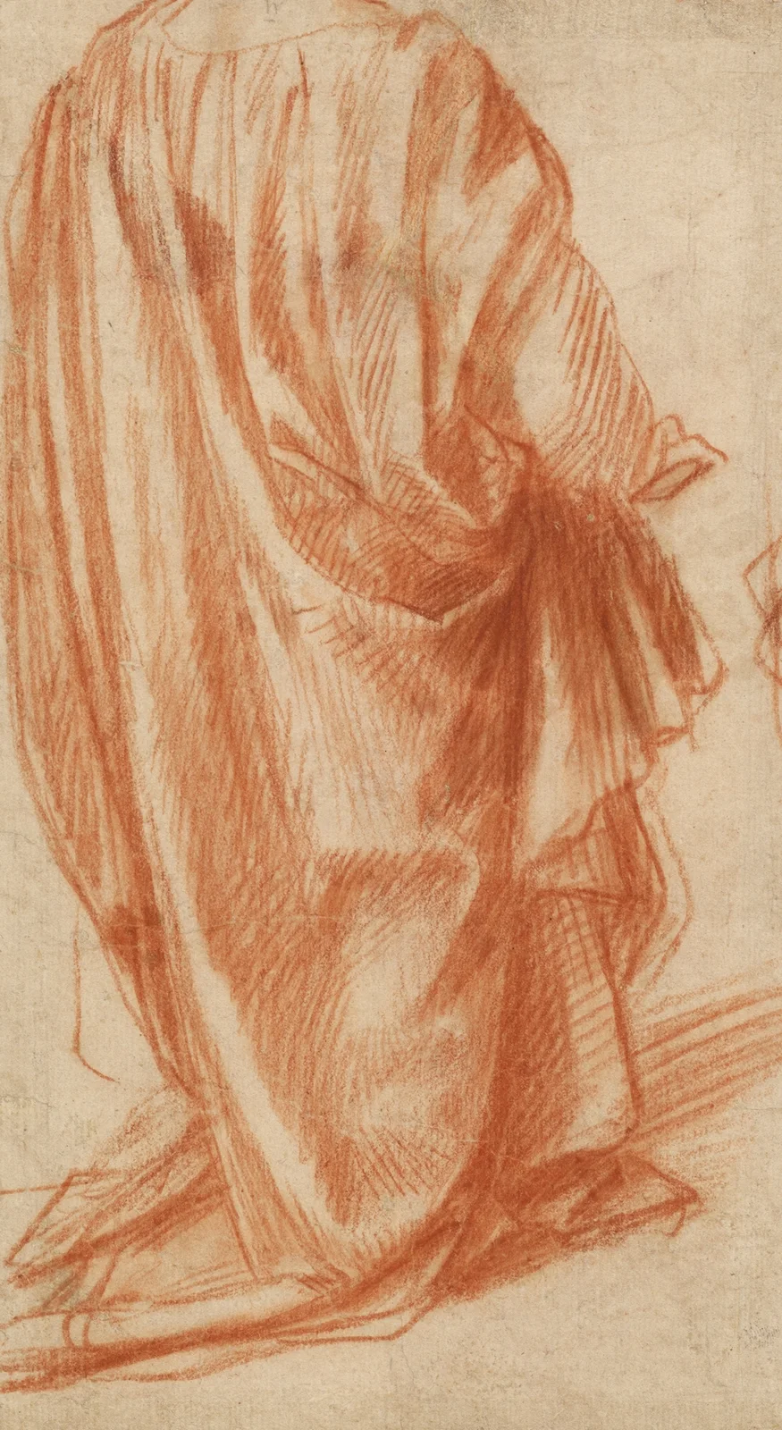 Drapery Study av Andrea del Sarto