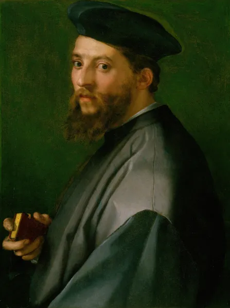 Portrait of a Man av Andrea del Sarto