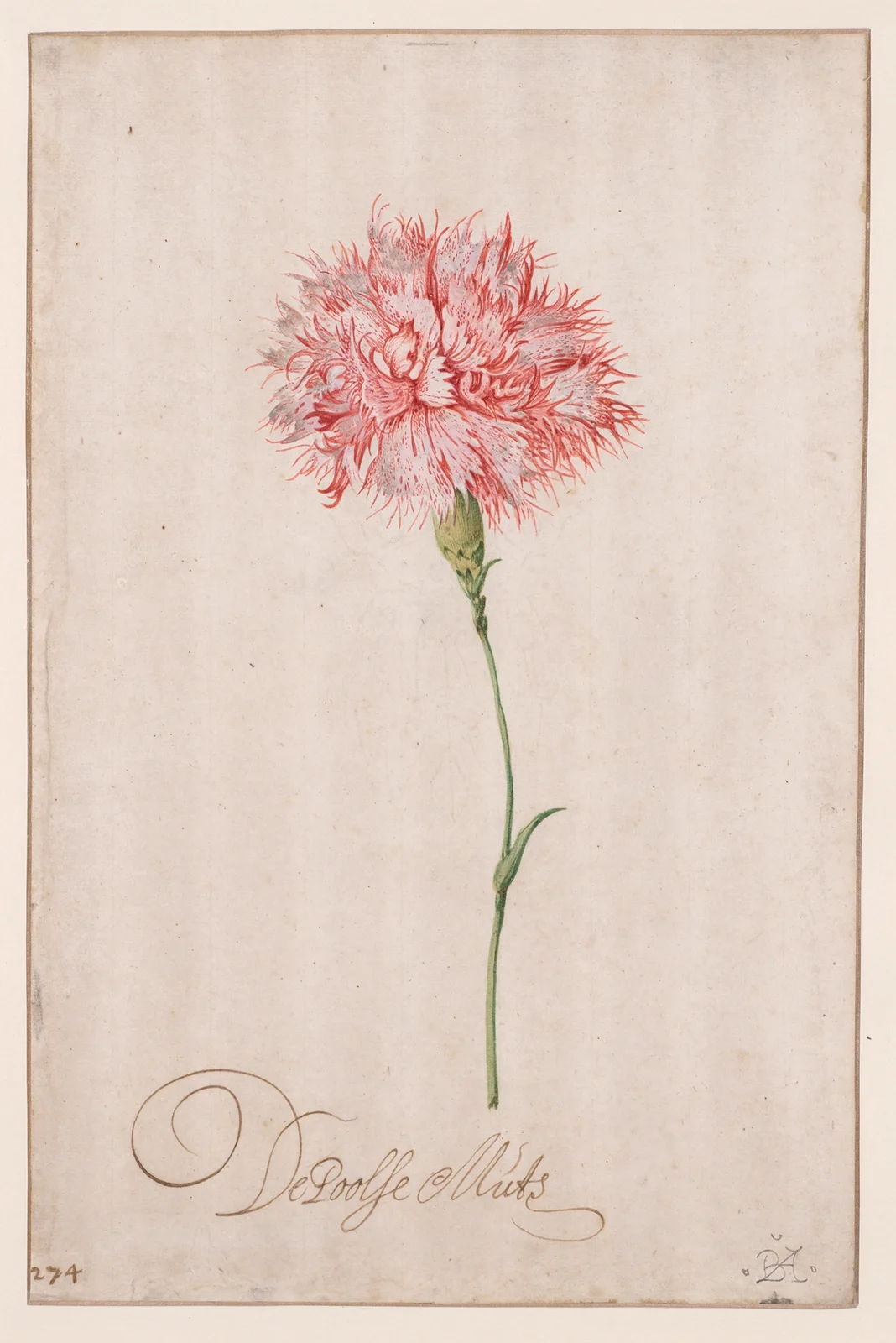 De Poolse Muts av Balthasar van der Ast