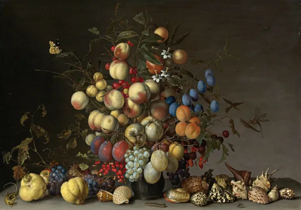 Peaches, Plums, Oranges, Apples, Cherries, Grapes, Red Currants, Black Currants, Crab Apples And Other Fruit In A Pewter Vase av Balthasar van der Ast
