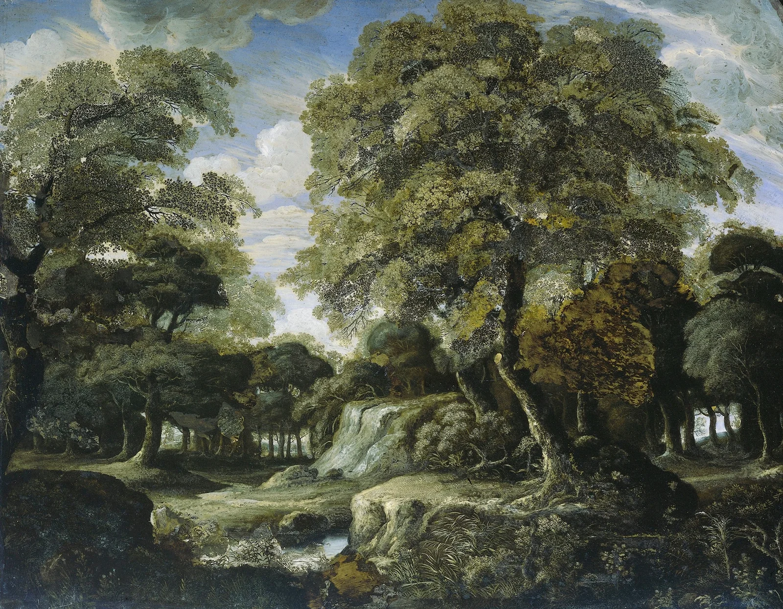 View in the Woods av Jan van der Heyden