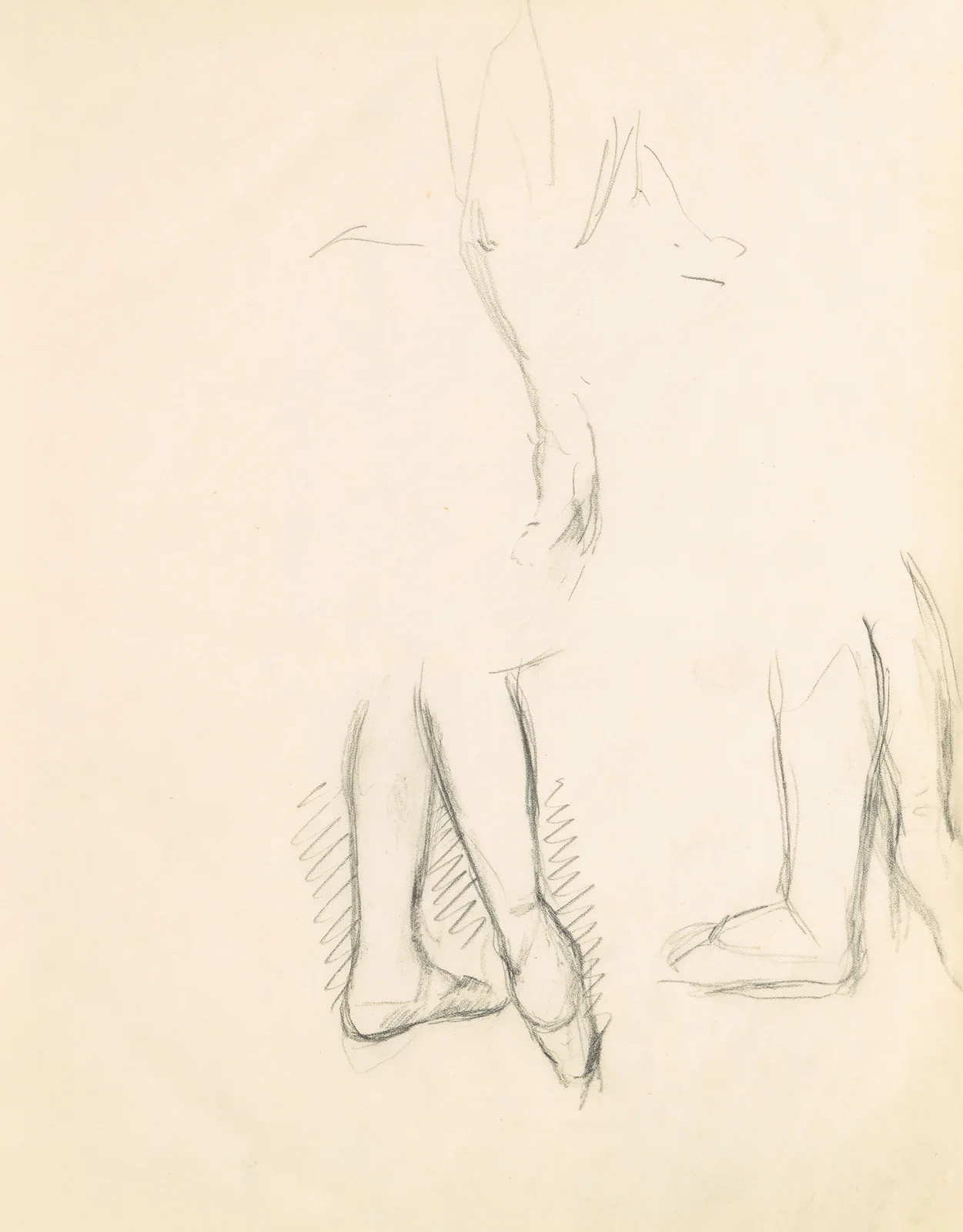 Figure Studies 13 av Edgar Degas