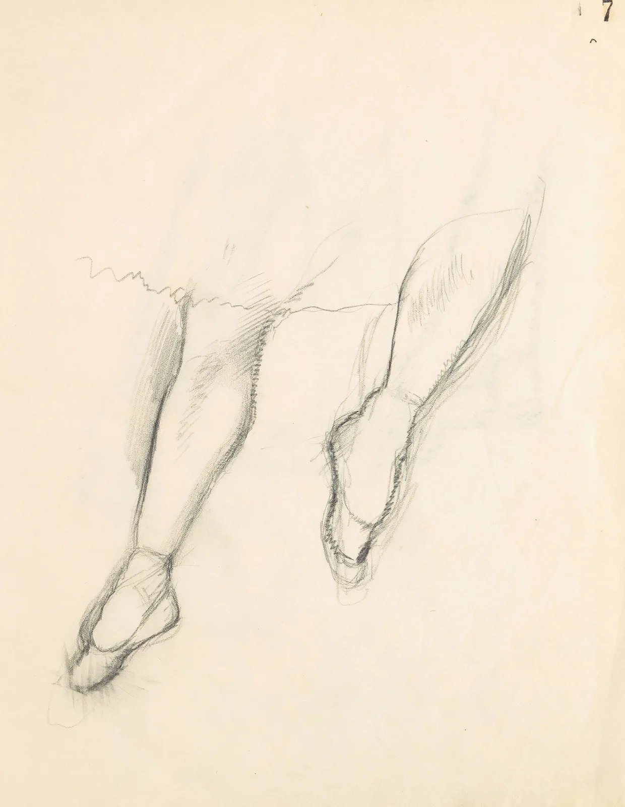 Figure Studies 8 av Edgar Degas