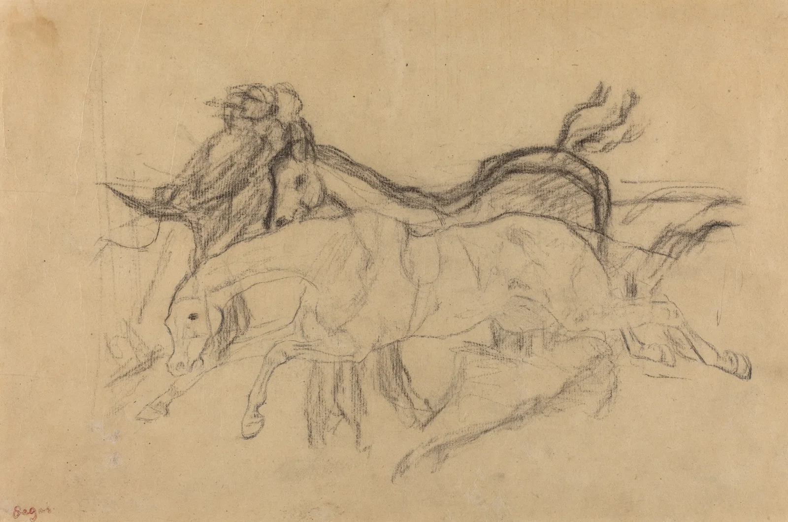 Racehorses (study for ‘Scene from the Steeplechase – The Fallen Jockey’) av Edgar Degas