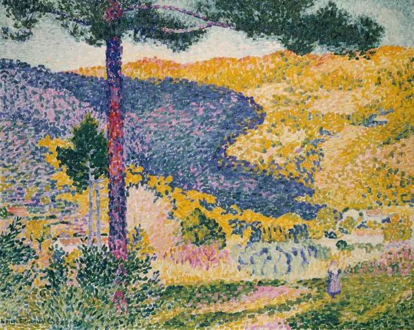 Valley with Fir (Shade on the Mountain) av Henri-Edmond Cross