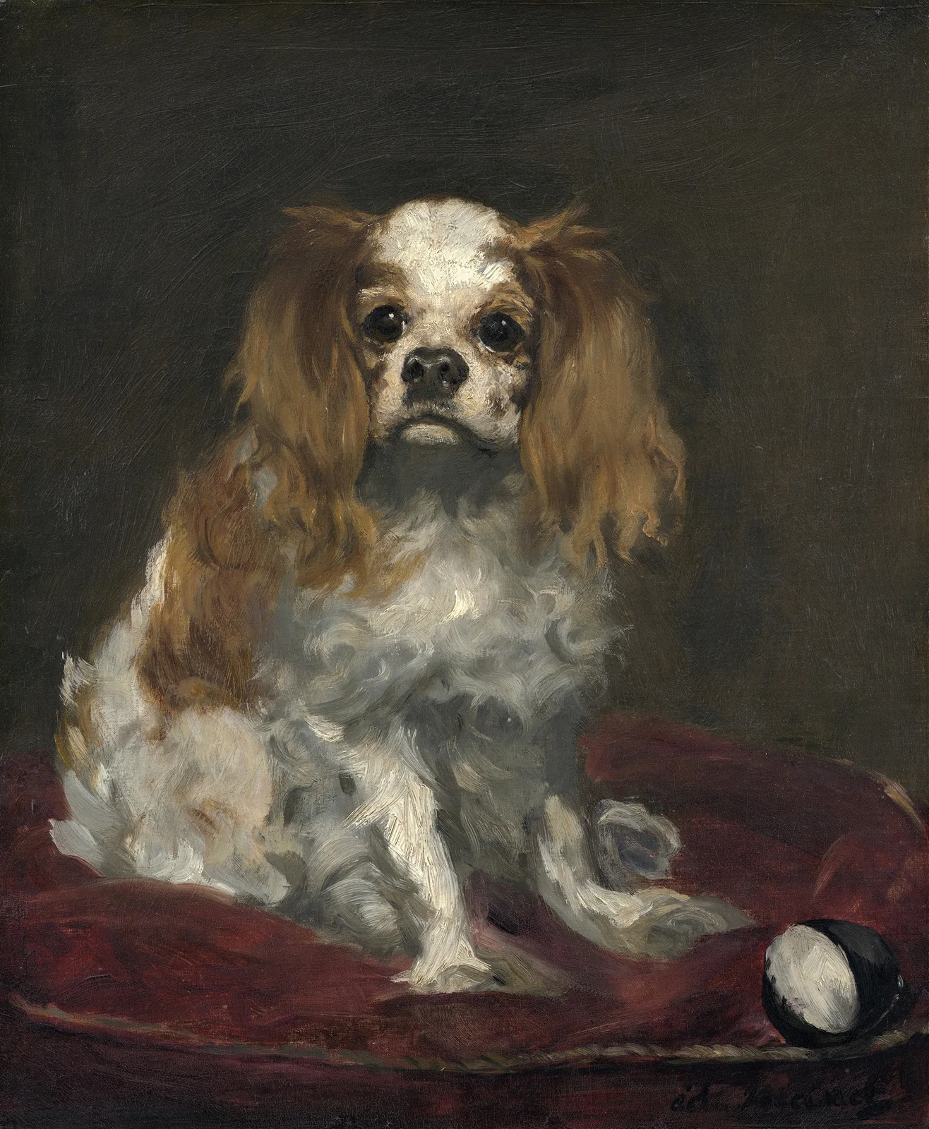 A King Charles Spaniel av Édouard Manet