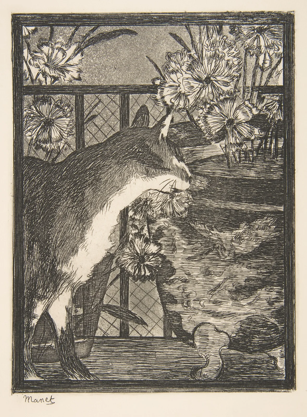 Cat and Flowers av Édouard Manet
