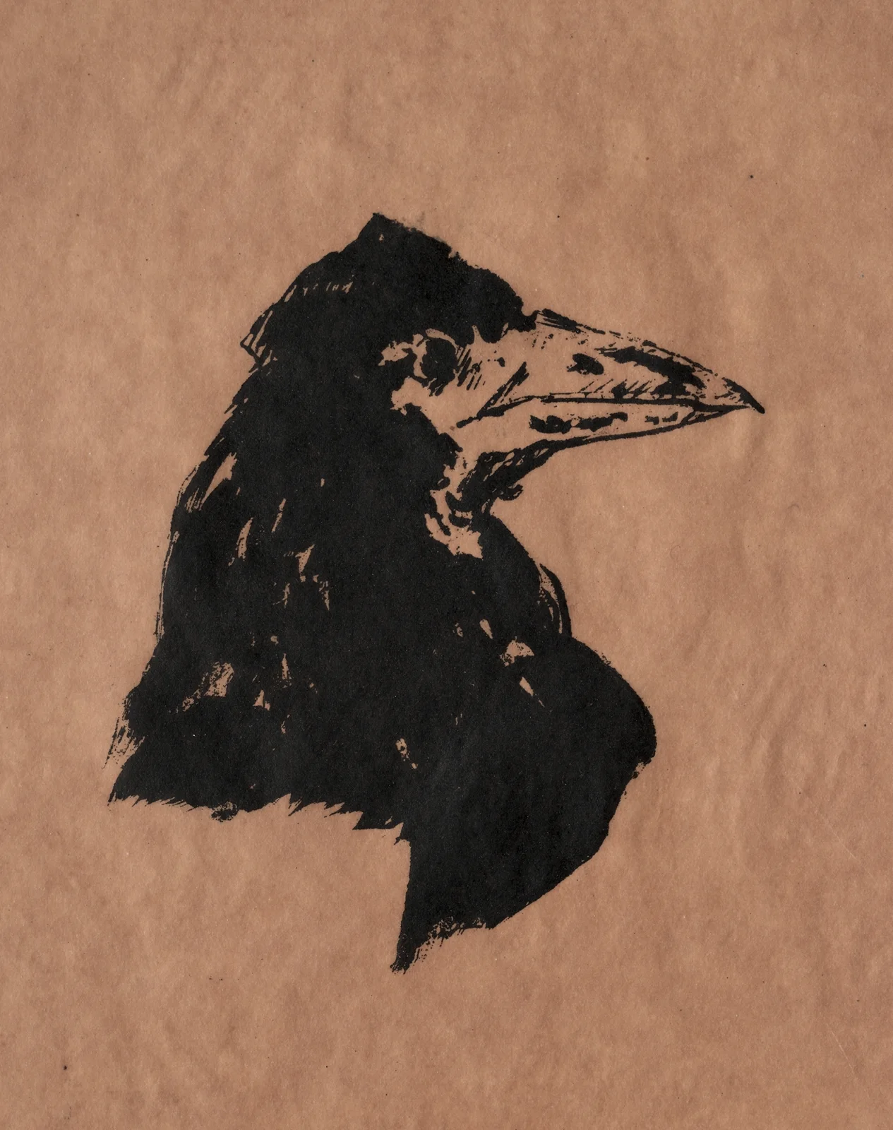 Raven’s Head in Profile av Édouard Manet