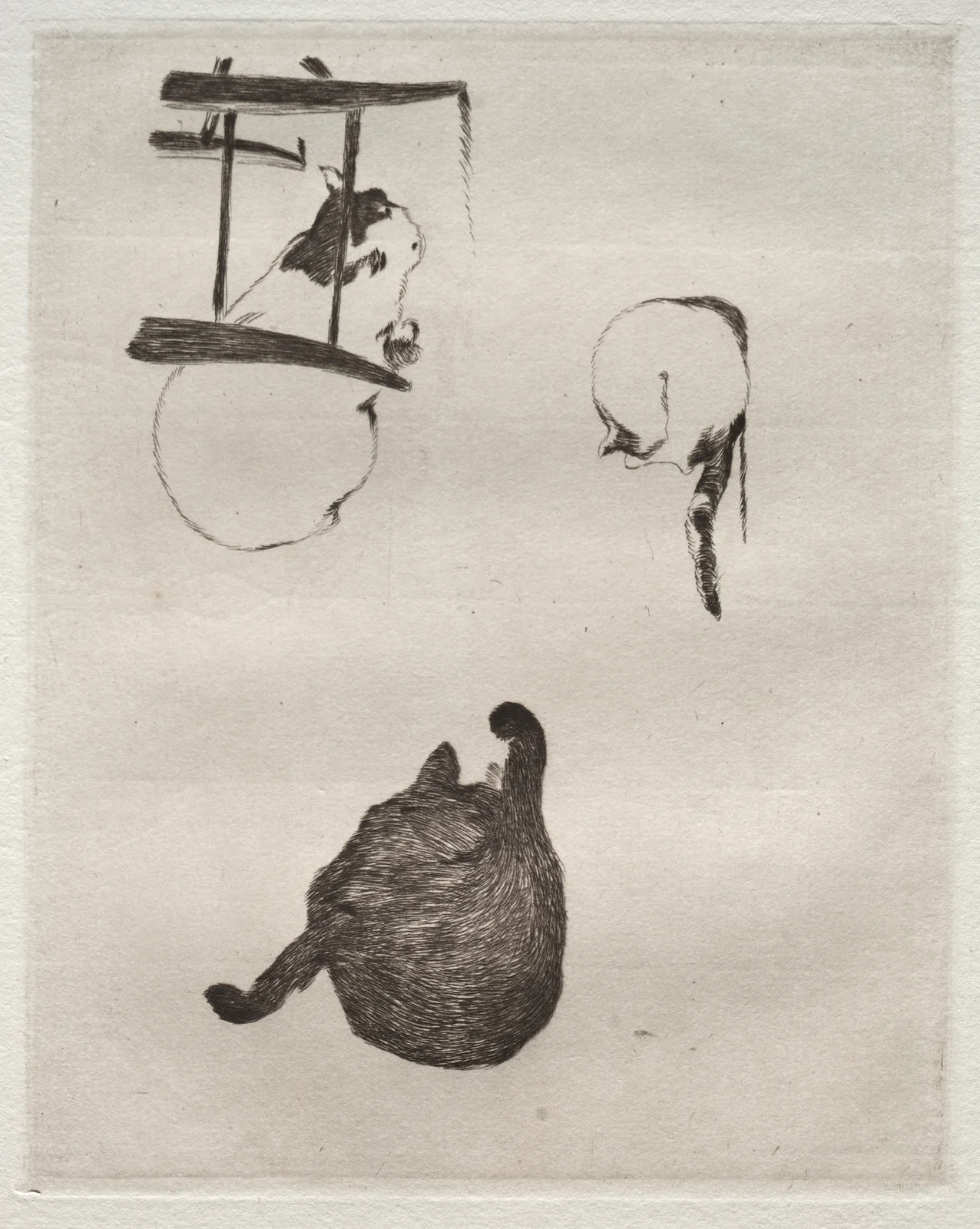 The Cats av Édouard Manet