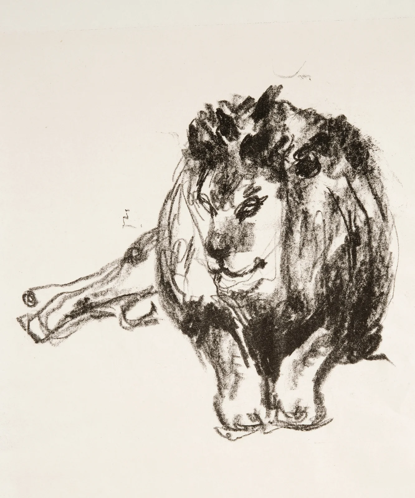 Lion Lying Down av Edvard Munch