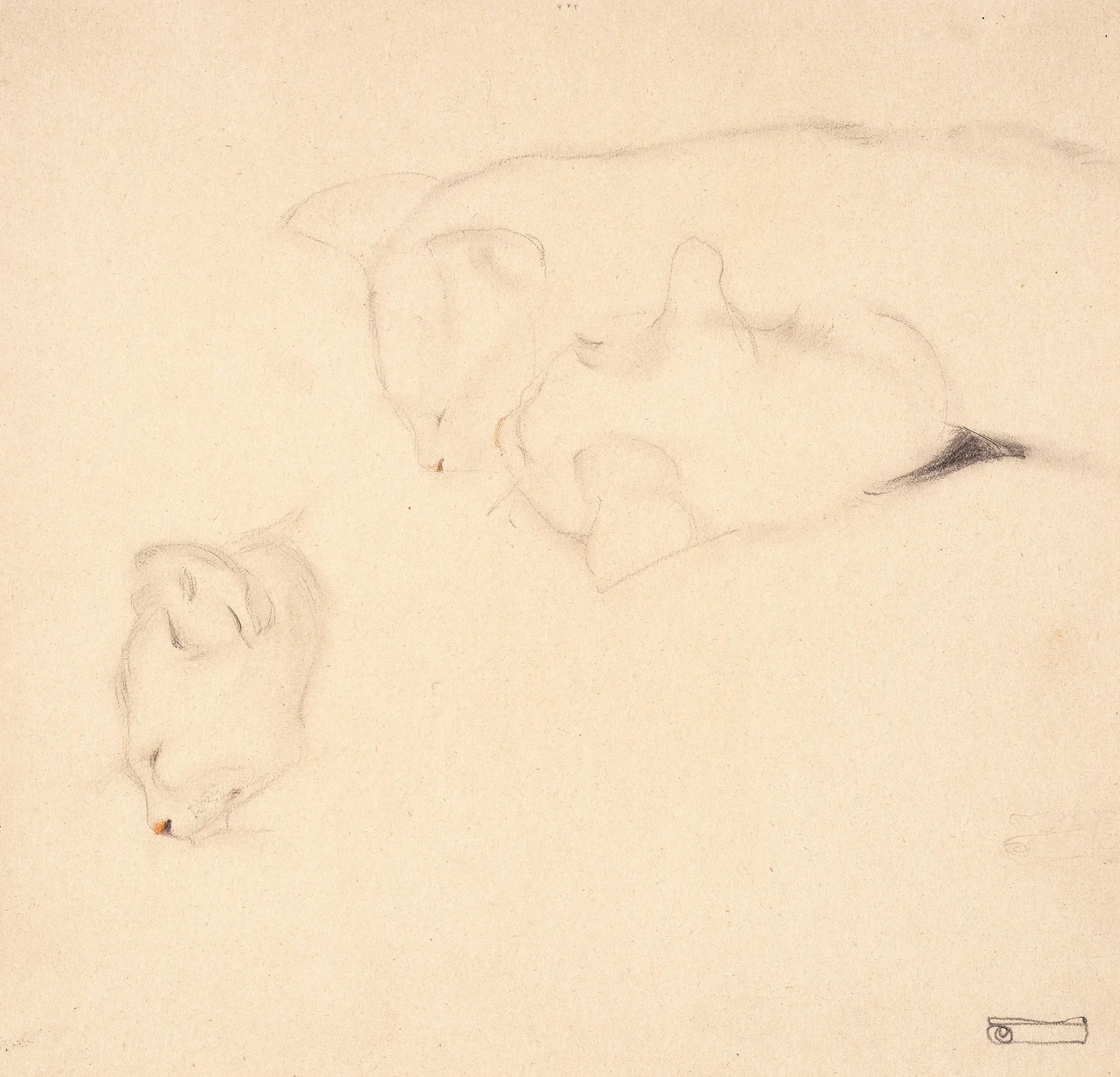 Cats. Studies av Egon Schiele