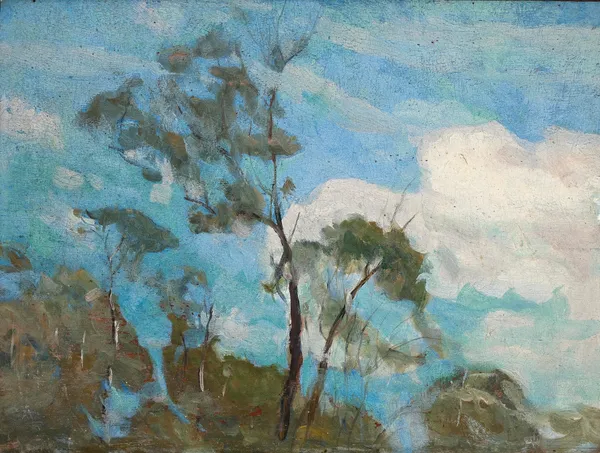 Céu de Teresópolis av Eliseu Visconti