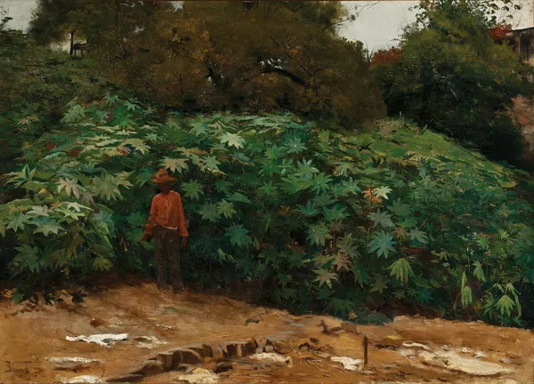 Mamoneiras – Morro de São Bento av Eliseu Visconti