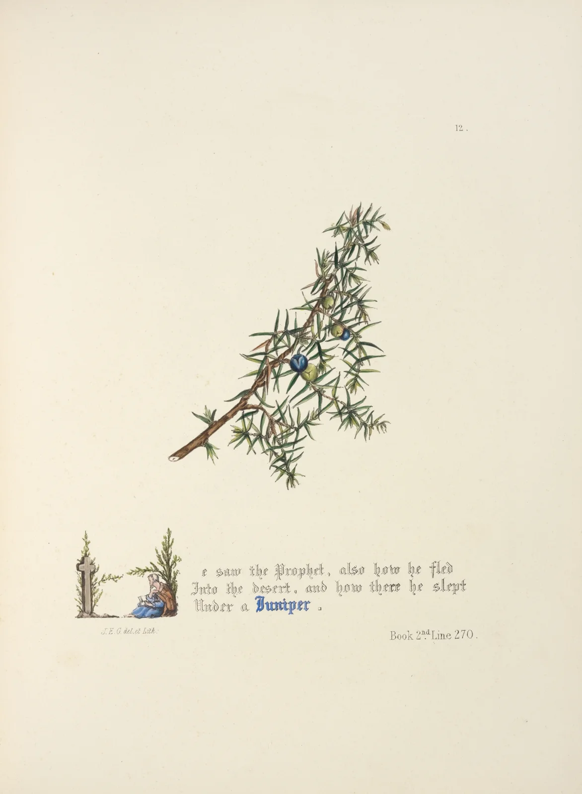 Juniper av Jane Elizabeth Giraud