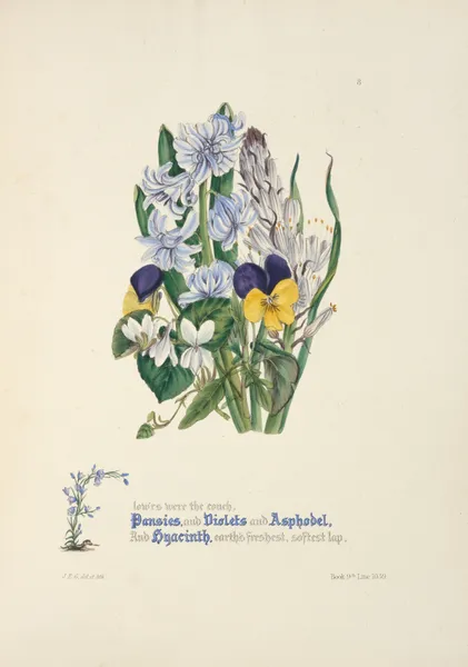 Pansies, violets, asphodel and hyacinth av Jane Elizabeth Giraud