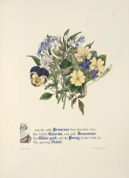 Primrose, Grow-toe,Jessamine. White-pink, Pansy and Violet av Jane Elizabeth Giraud