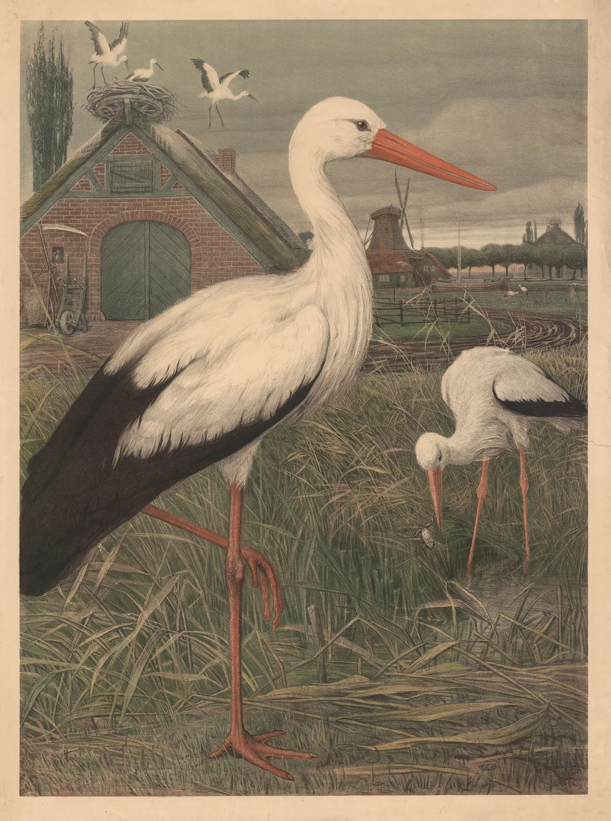 Stork av Emil Schmidt