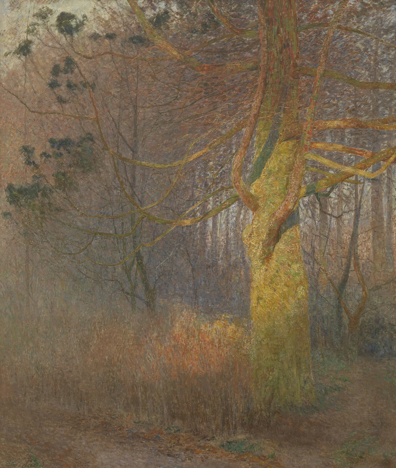 Tree in the sun av Emile Claus