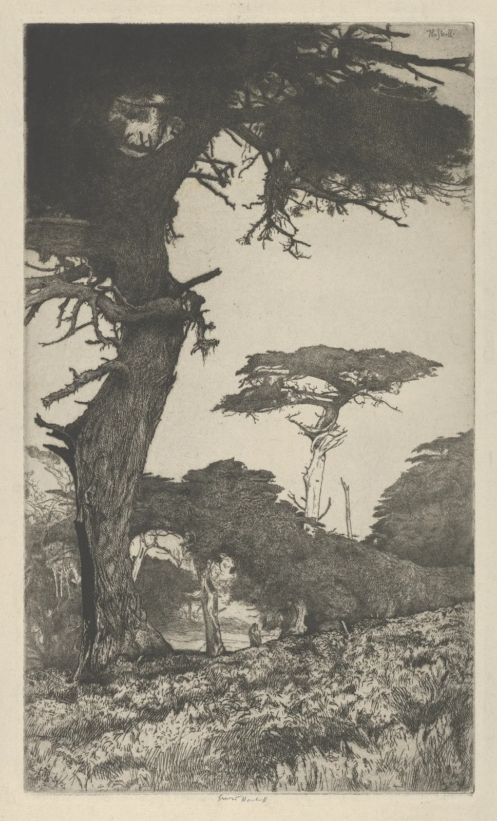 Cypress Vale av Ernest Haskell