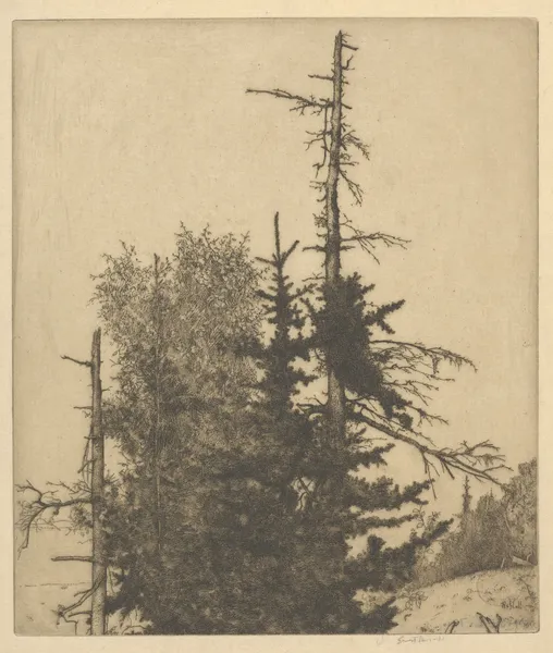 Dead Tops av Ernest Haskell