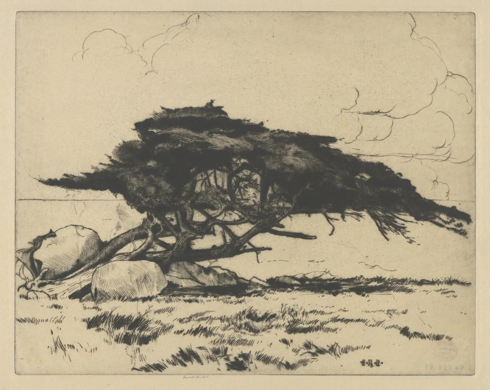 Dolphin av Ernest Haskell