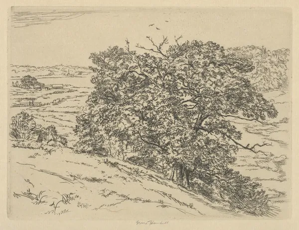 Dromore Oaks av Ernest Haskell