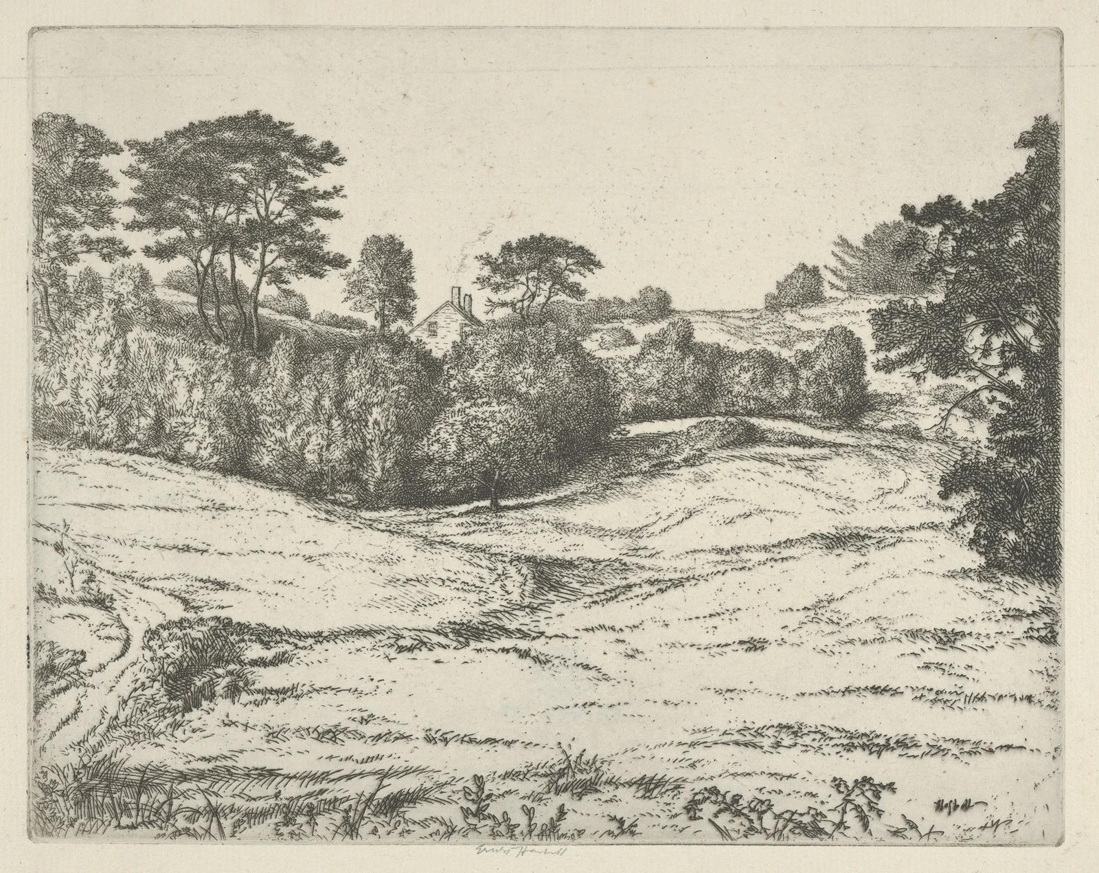 Dromore Vale av Ernest Haskell