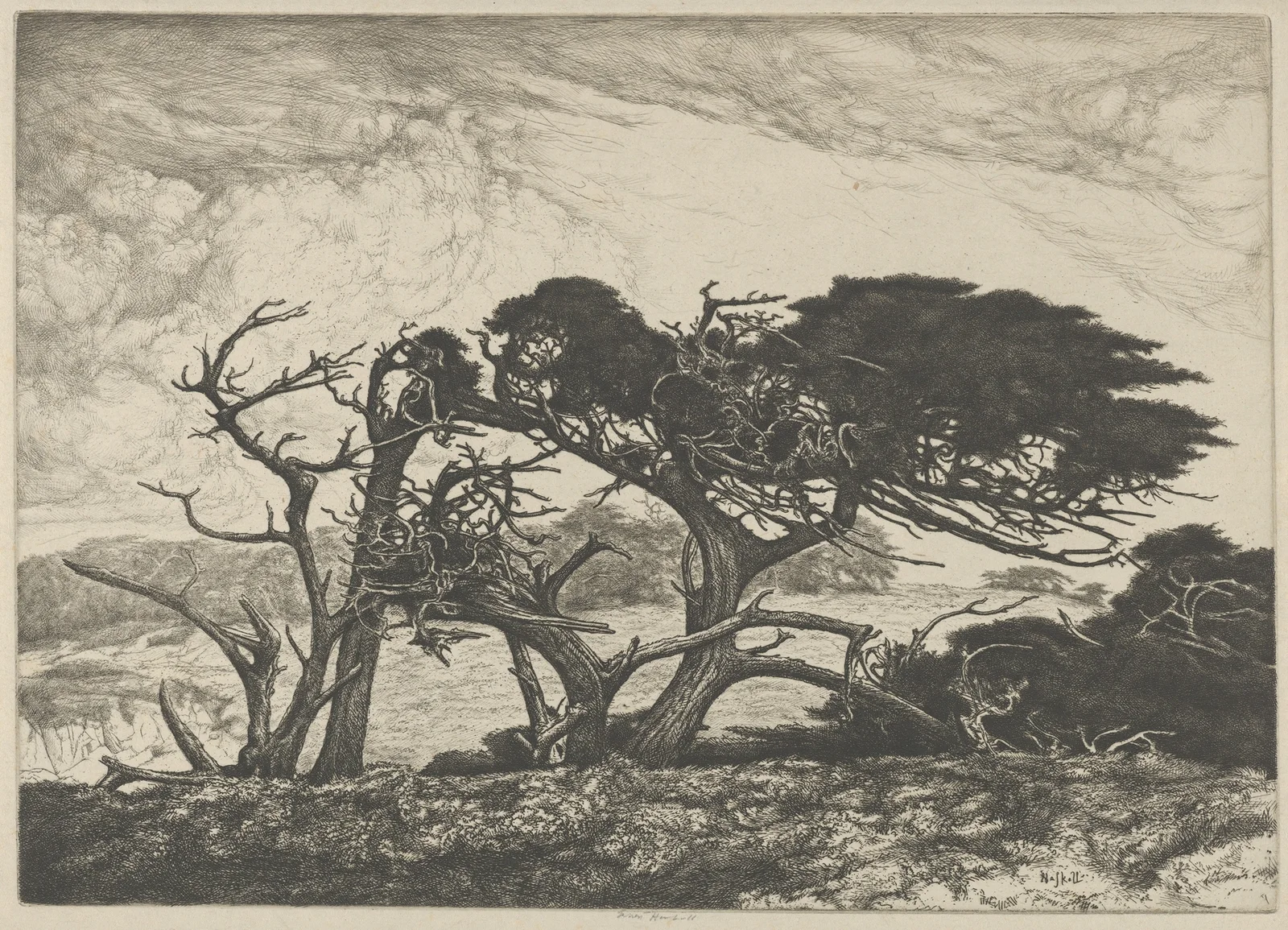 El Torro av Ernest Haskell