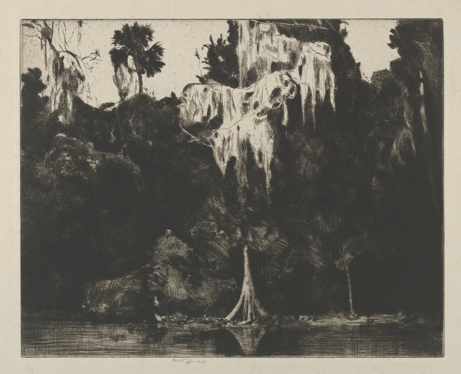 Ghost Cypress av Ernest Haskell